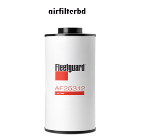 Fleetguard AF25312 Air Filter