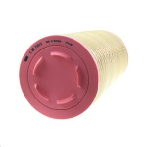 MANN Air Filter C25710/3